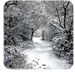 Wintry Conditions