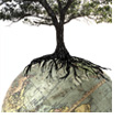 tree and globe