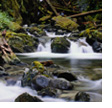 stream
