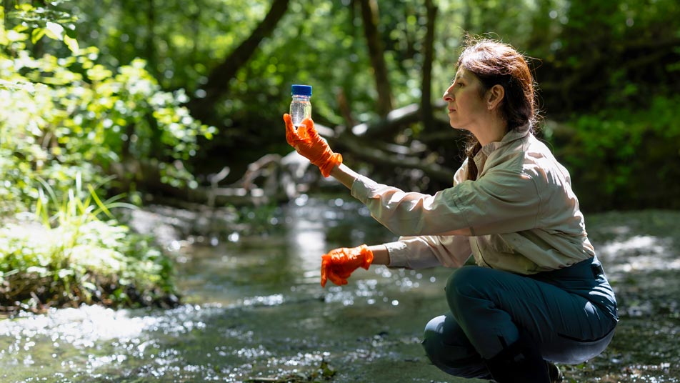 Débora García Ovejero, who earned a bachelor's degree in fisheries, wildlife, and conservation sciences online from Oregon State University, crouches in a stream. She is wearing gloves and holding a container with water that she is examining.