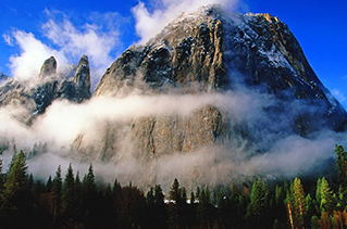 Foggy mountains and forest