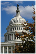 the White House