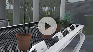 Image from a 3D virtual greenhouse for the Crop Science 200 online course