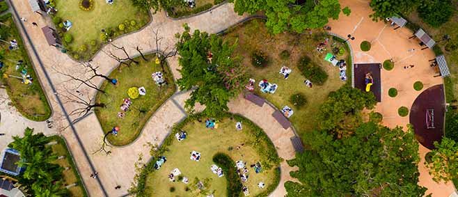 Aerial view of an urban park greenway with winding paths, diverse tree canopy, manicured lawns, and visitors enjoying green space