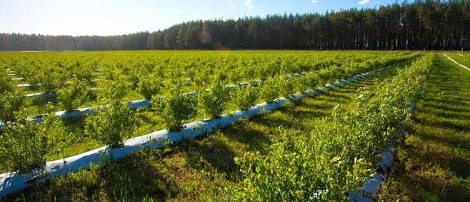 Organic Farming Systems banner