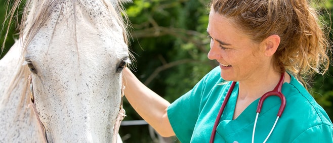 Veterinary Medicine Prerequisite Courses banner