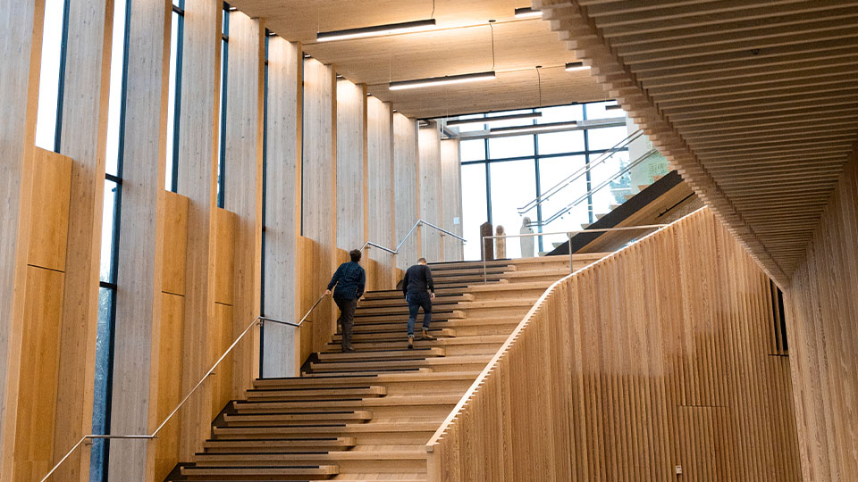 A modern OSU building interior featuring exposed mass timber, large windows, and open stair seating, showcasing innovative construction