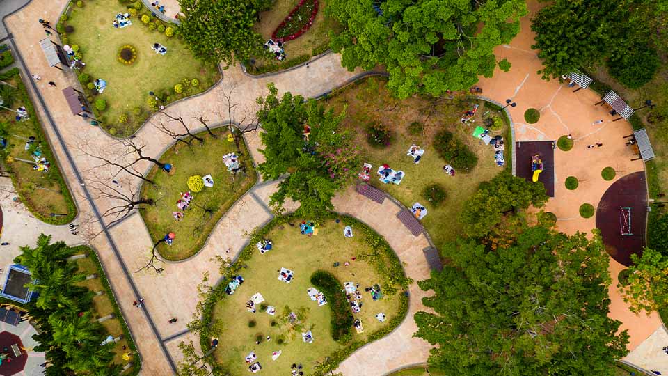 Aerial view of an urban park greenway with winding paths, diverse tree canopy, manicured lawns, and visitors enjoying green space
