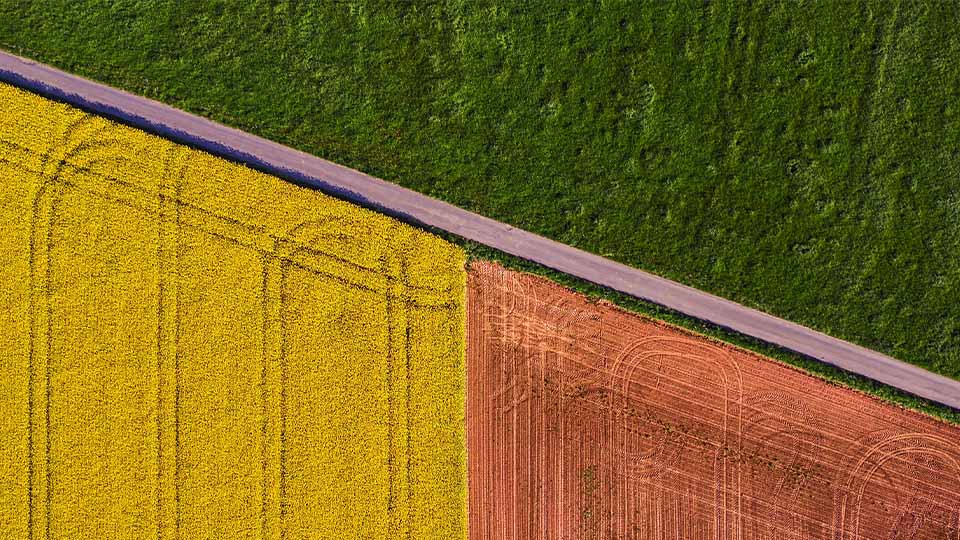 Overhead shot of agricultural field with green and yellow crops and red soil