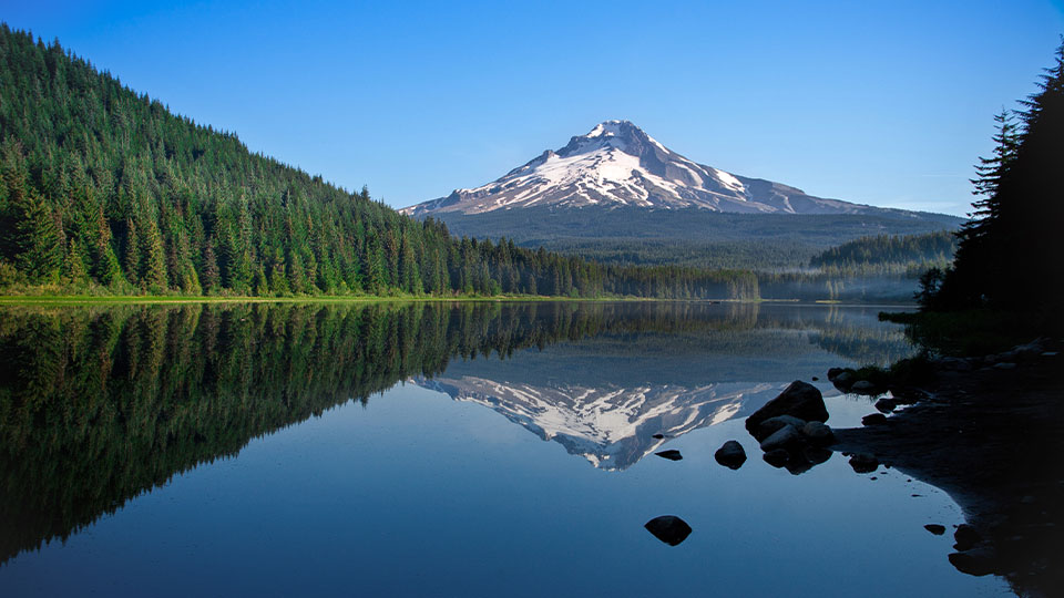 Snow-capped mountain reflecting in an alpine lake with beautiful pine forest along shoreline