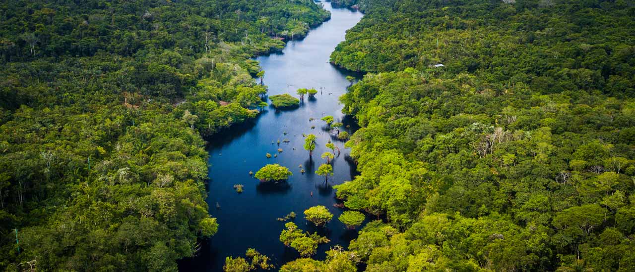 An aerial photo of a river, bordered on each side by lush, dense forest, with a handful of trees jutting through the water