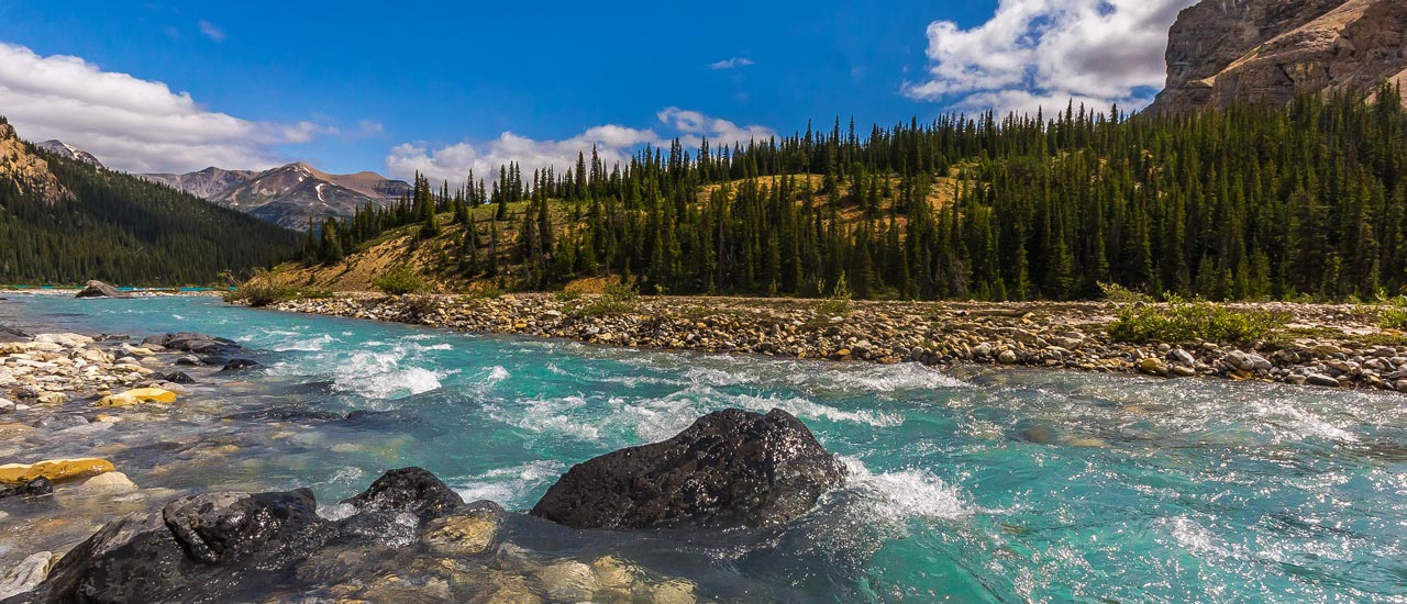 A clear, blue river flows powerfully around boulders and rocks, with an evergreen forest and blue sky in the background