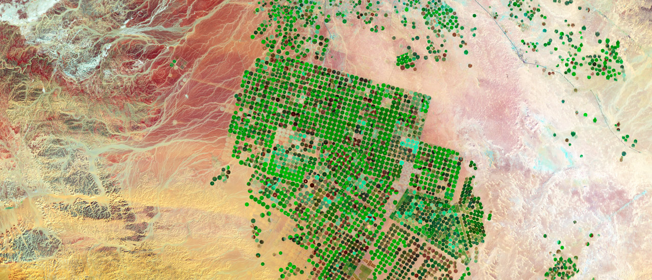 An aerial satellite image of desert landscape with many green circles in the form of pivot irrigation crop circles