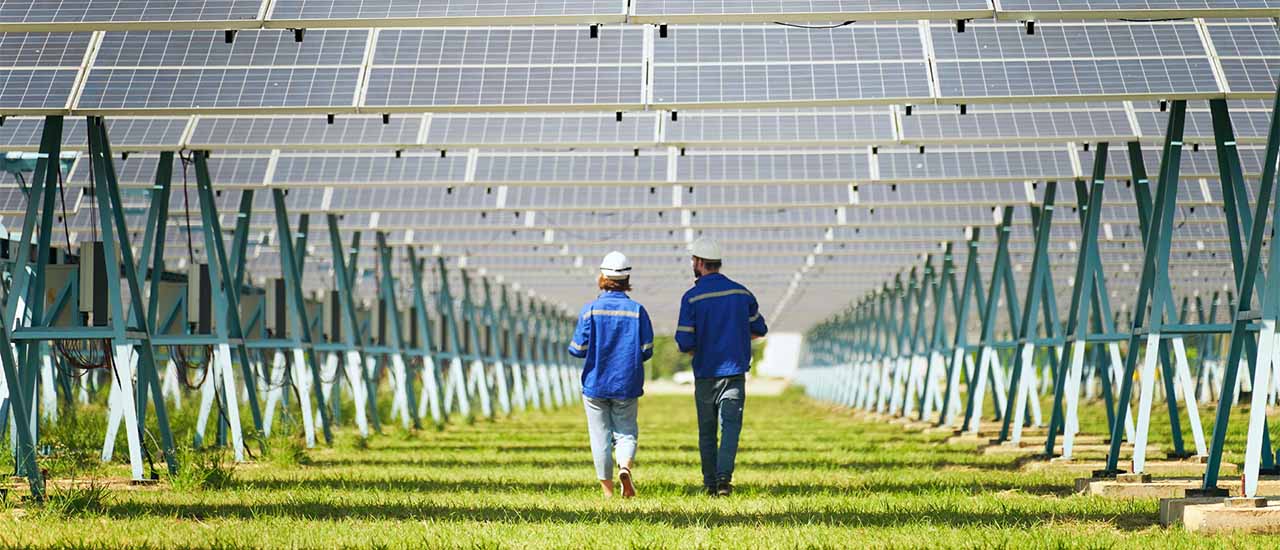 Two workers walking through a solar panel installation