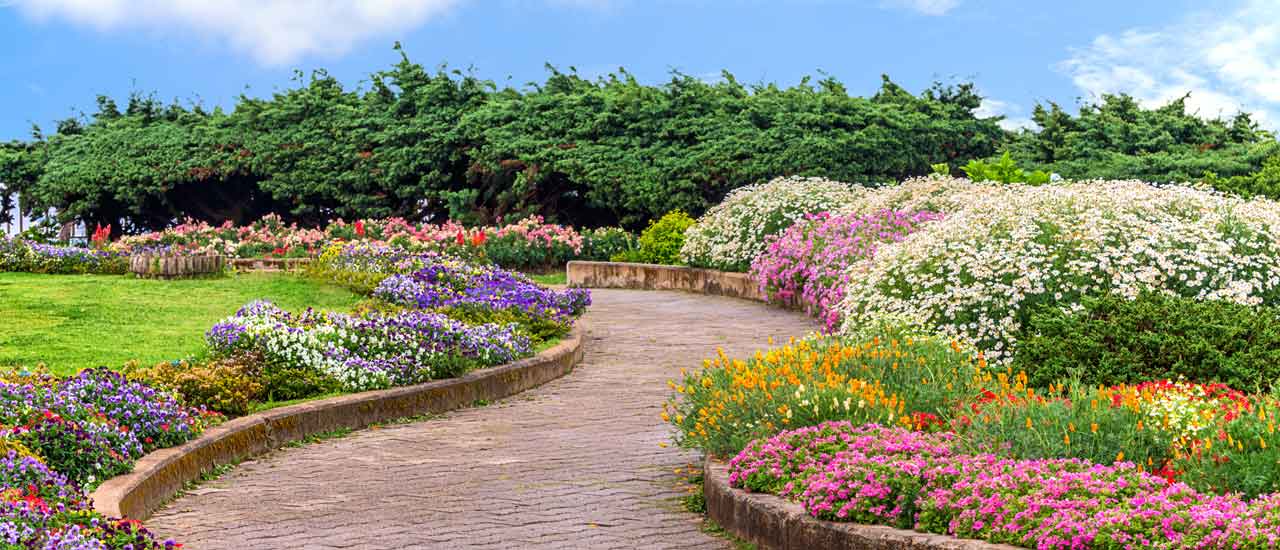 A winding garden path surrounded by vibrant flower beds in full bloom, with a variety of colors under a blue sky with clouds