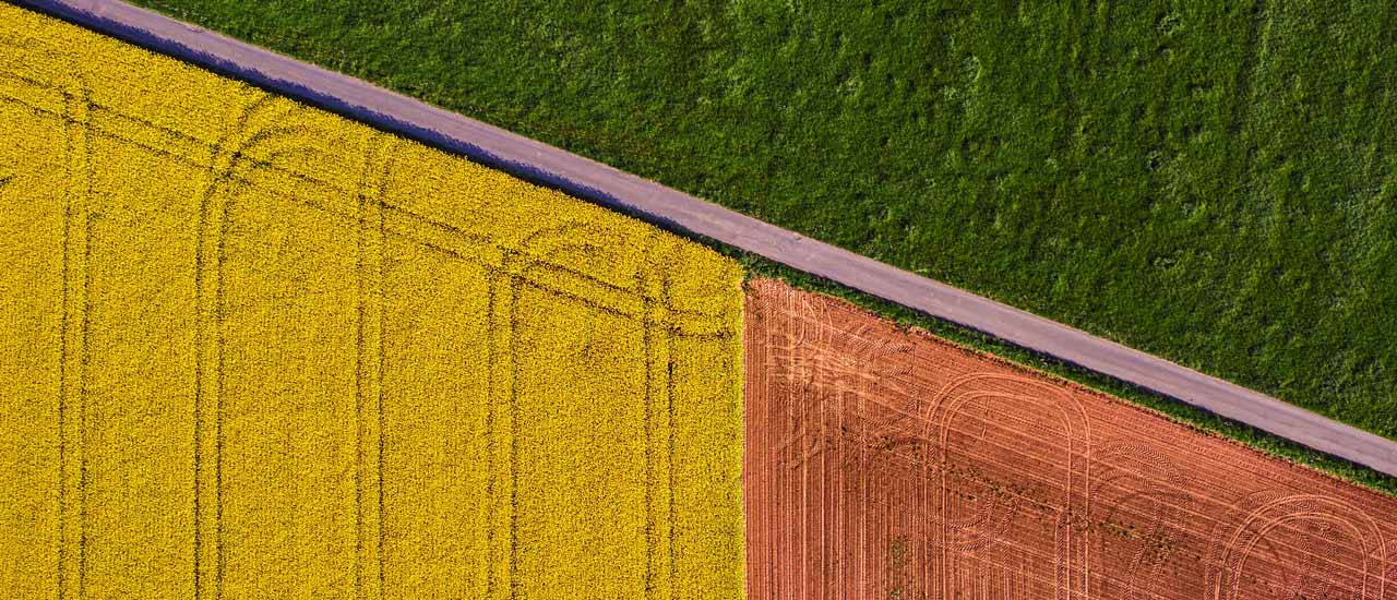 Overhead shot of agricultural field with green and yellow crops and red soil