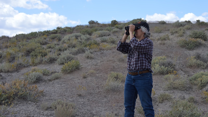 Yvette Gibson uses binoculars to look on over a herd of cattle on range land.