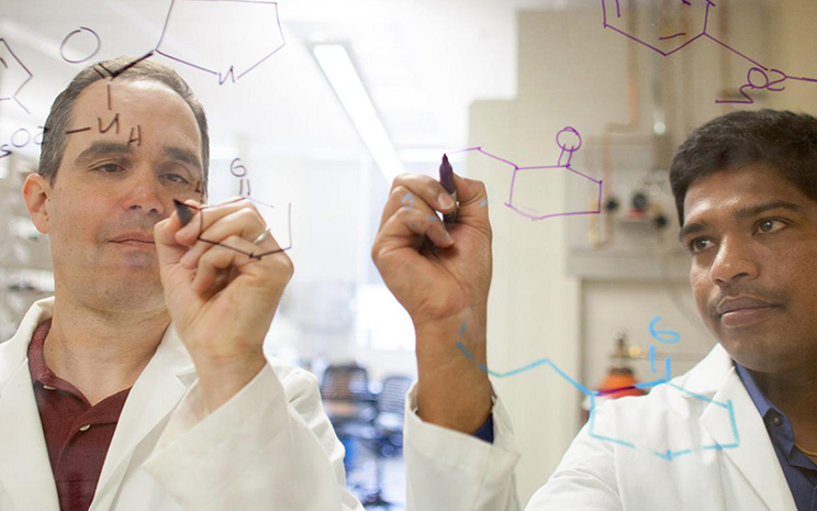 Two chemists in a lab use markers to write on a clear board. Online chemistry